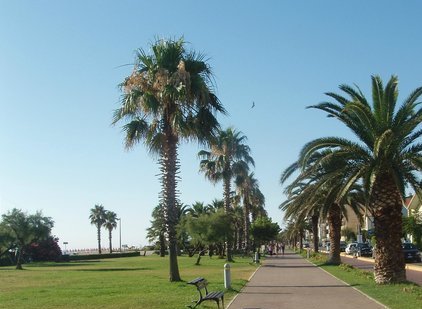 Notaio – Porto Sant’Elpidio 