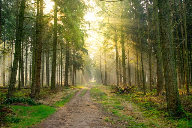 Acquisto terreno: prelazione Ente parco