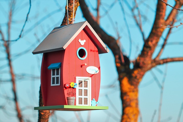 Come intestare dal notaio la casa ereditata