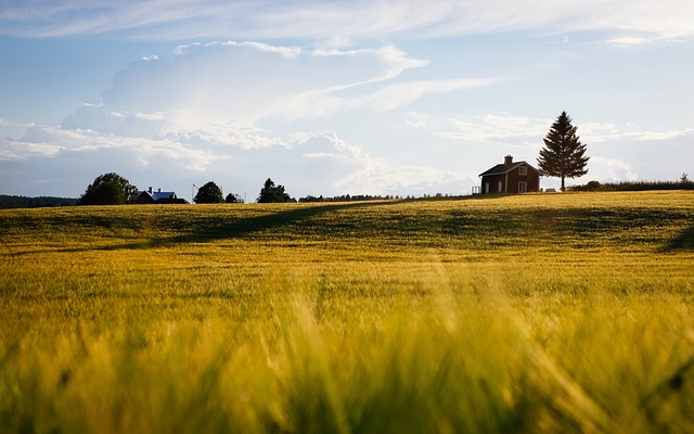 Comprare terreno agricolo e prezzo valore