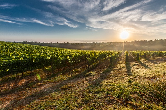 Comprare terreno con vincolo di edificabilità