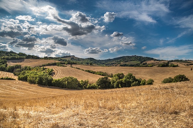 Comprare un terreno intercluso dal notaio