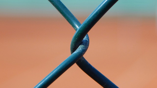 Cosa significa fusioni societarie