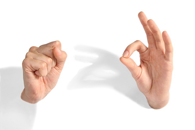 Cosa significa legittimato